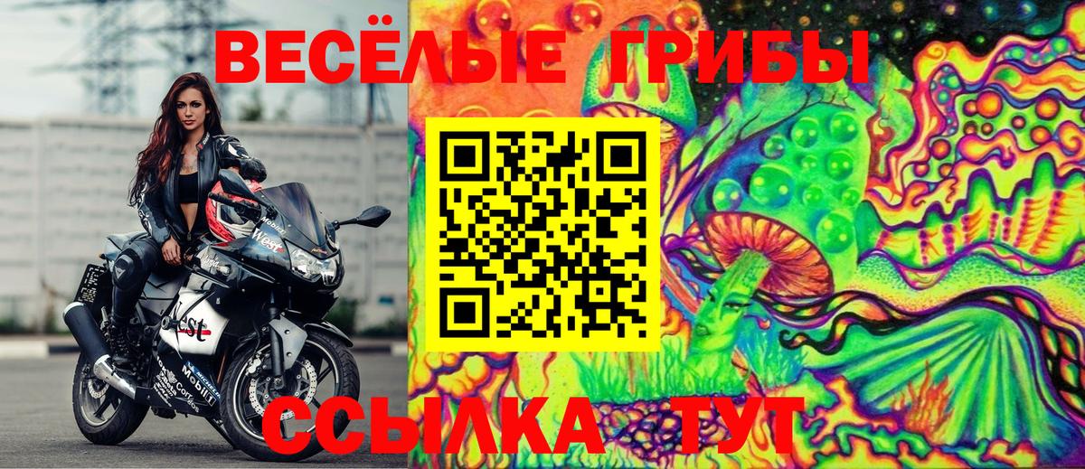 Псилоцибиновые грибы Cubensis  Псилоцибиновые грибы GOLDEN TEACHER  Вход с VPN  Нерюнгри 